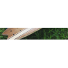 LUCID GRIP
